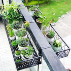 Wrought Iron Hanging Balcony Plant Pots , 30cm Length Balcony Plant Pot Holders